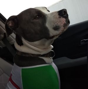 Meet your Posher, Trinidy